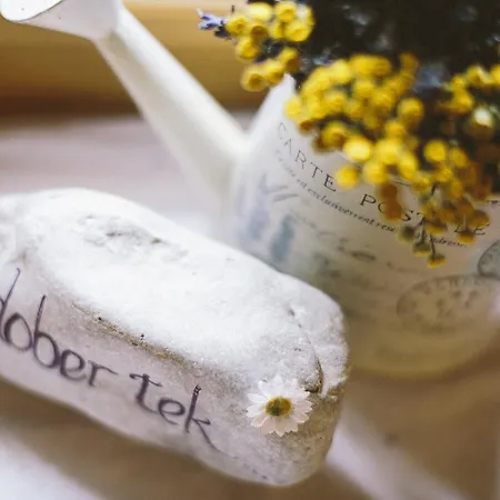 Berc Couette-café Bled