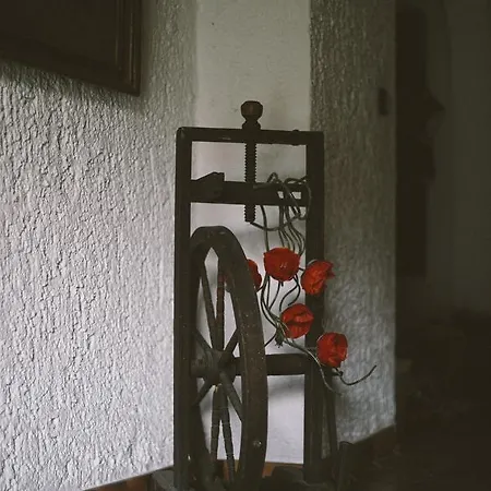 波克住宿加早餐旅馆