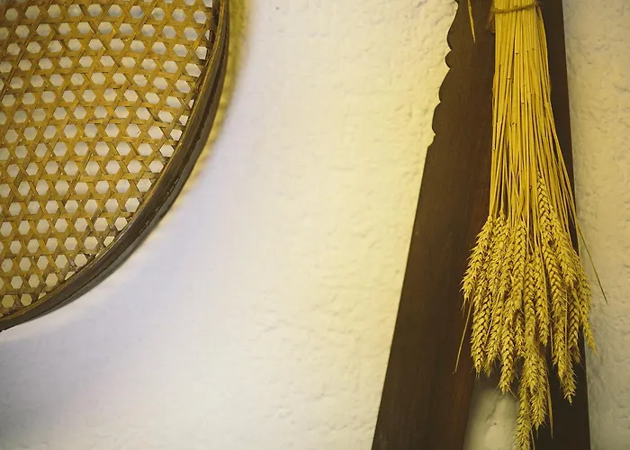 לינה וארוחת בוקר Berc בלד